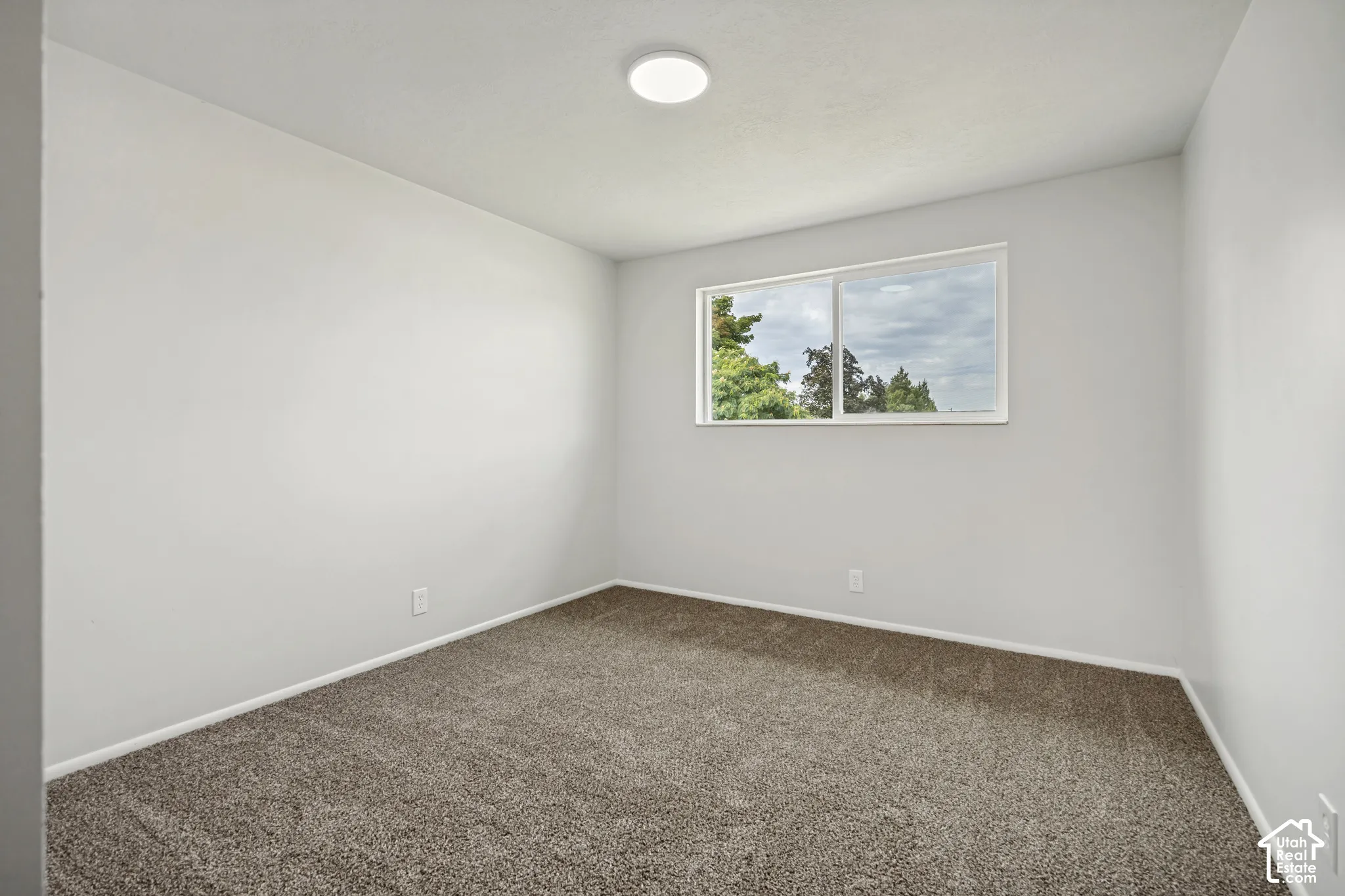 Neutral wall paint, plush carpeting, ceiling-mounted light fixture, and a window providing natural light