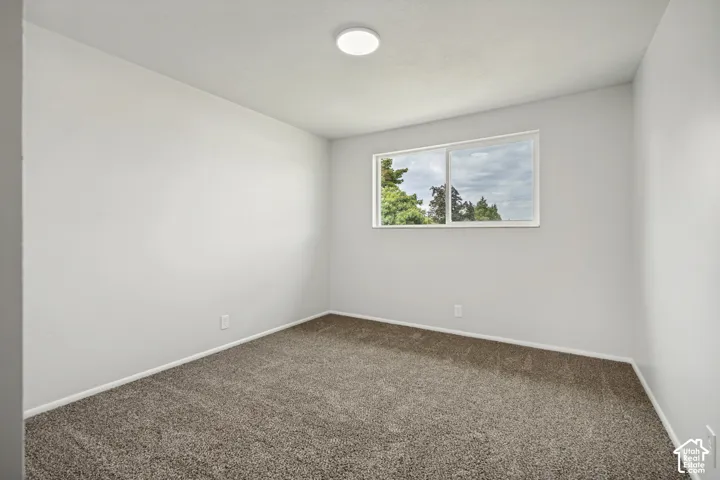 Neutral wall paint, plush carpeting, ceiling-mounted light fixture, and a window providing natural light