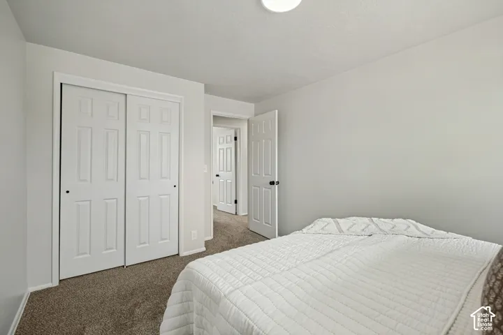 Neutral wall finishes, carpeted flooring, and a flush mount ceiling light fixture