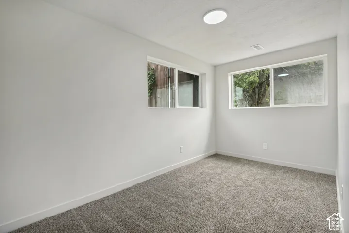 Light gray carpeting, white walls, and two windows providing natural illumination