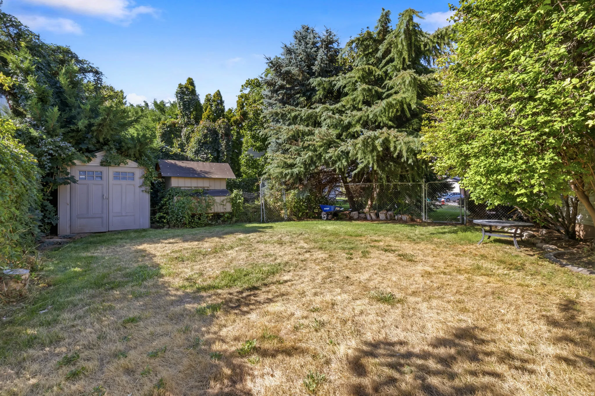 Expansive yard with established trees, featuring a storage shed, a secondary utility structure, and perimeter fencing