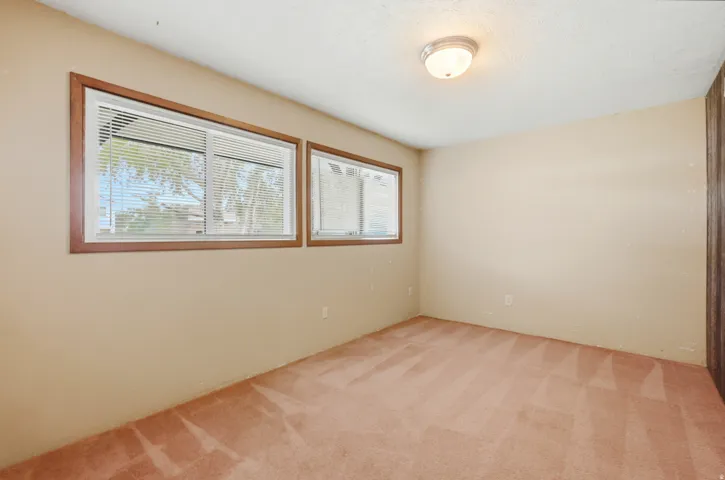 Two windows with wood-finish trim, neutral wall paint, and ceiling-mounted light fixture