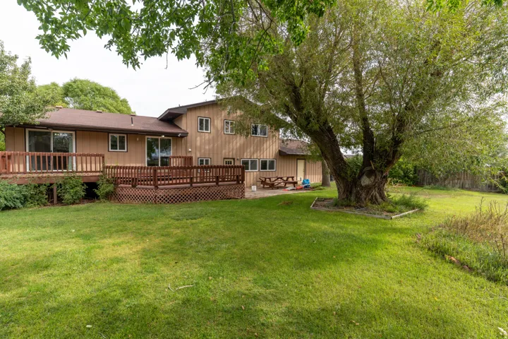 Expansive green lawn with a large mature tree