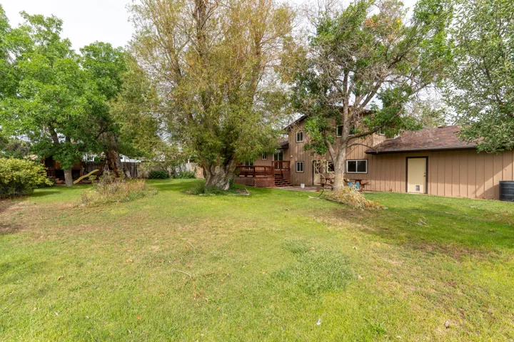 Expansive grassy yard with mature trees