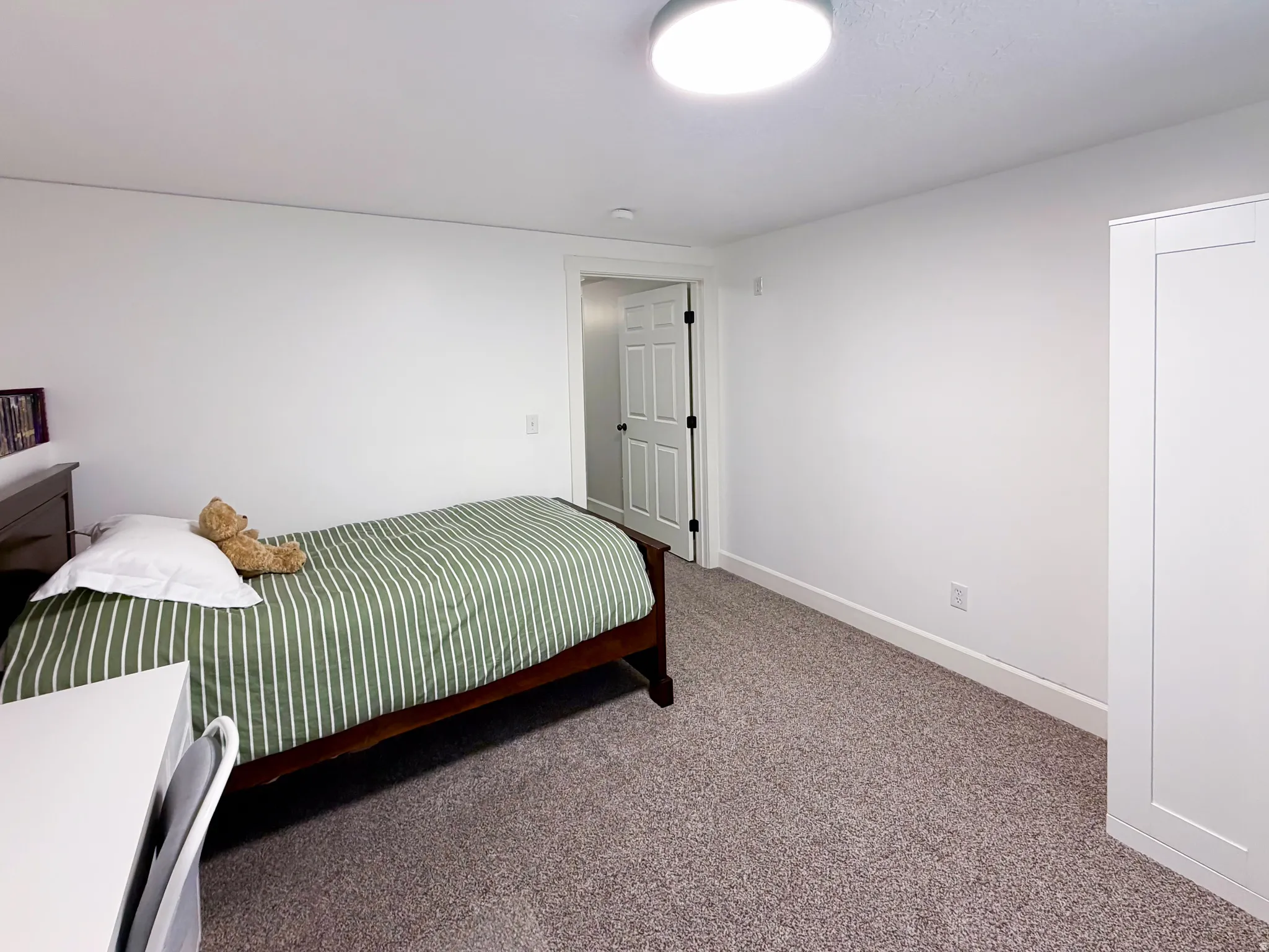 Neutral wall color, carpeted flooring, flush-mount ceiling light, white paneled door with dark hardware, built-in white wardrobe