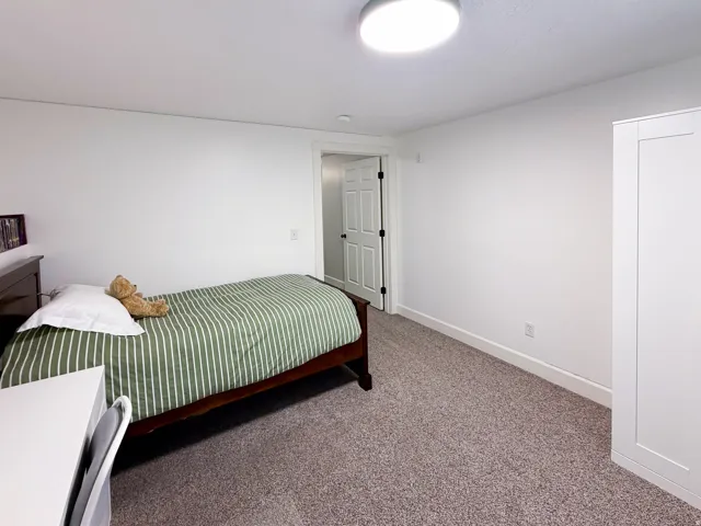 Neutral wall color, carpeted flooring, flush-mount ceiling light, white paneled door with dark hardware, built-in white wardrobe