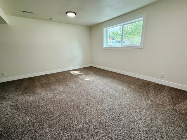 Plush carpet flooring, neutral wall tones, and a single window with white trim
