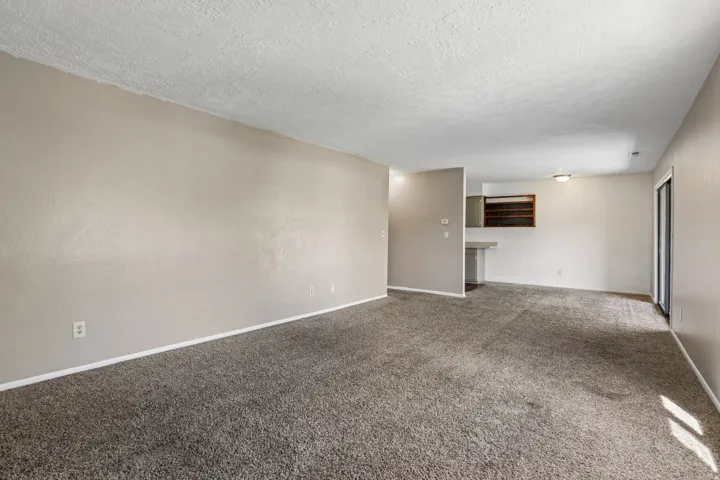 Neutral-toned walls complement the textured carpeting