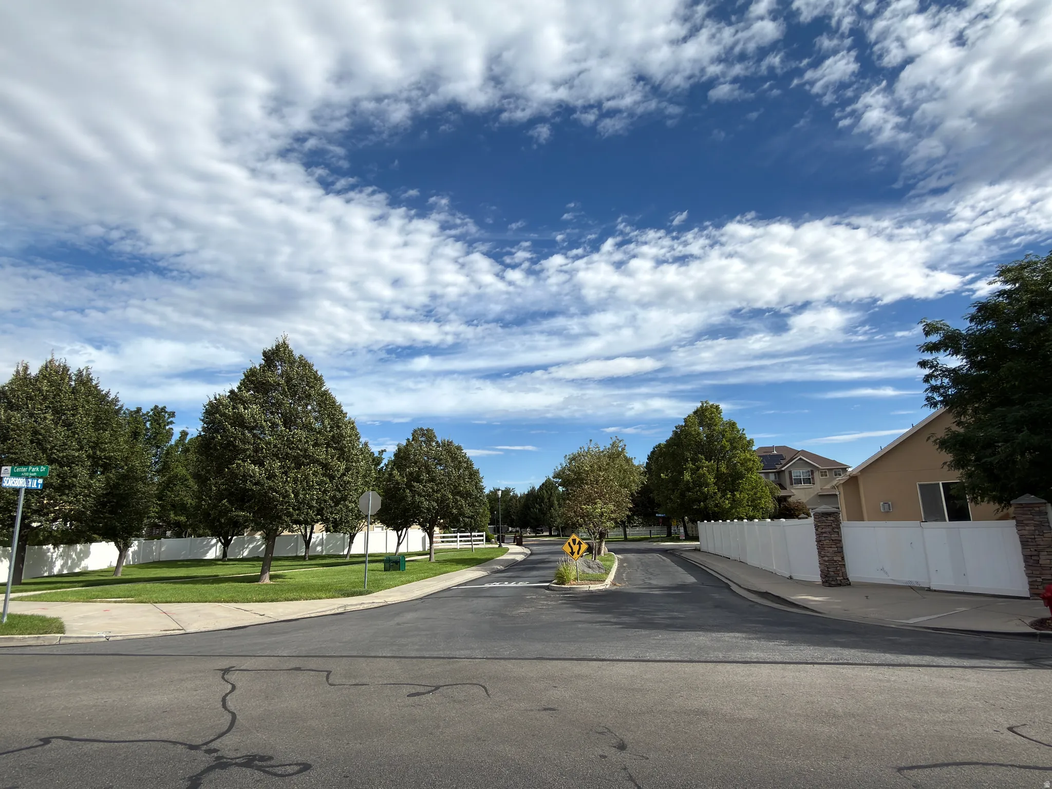 Manicured green spaces with mature trees and a paved street