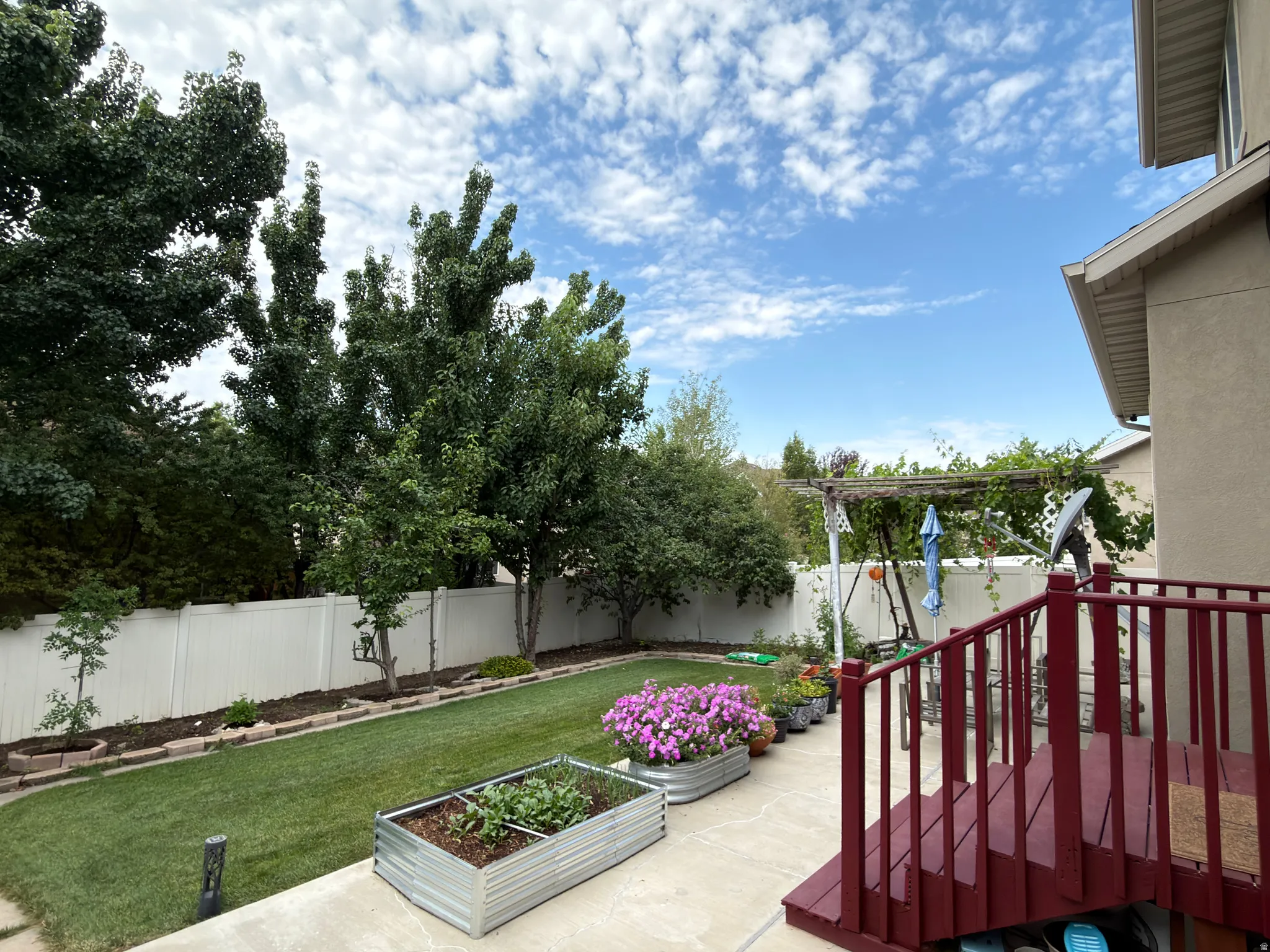 Expansive backyard featuring a manicured lawn, established trees, and a privacy fence