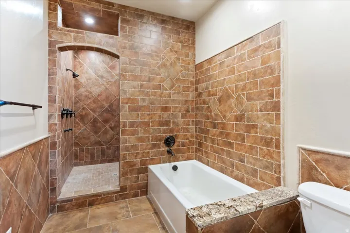 Tiled shower enclosure with an arched entry, a built-in niche, and a separate bathtub with a stone cap
