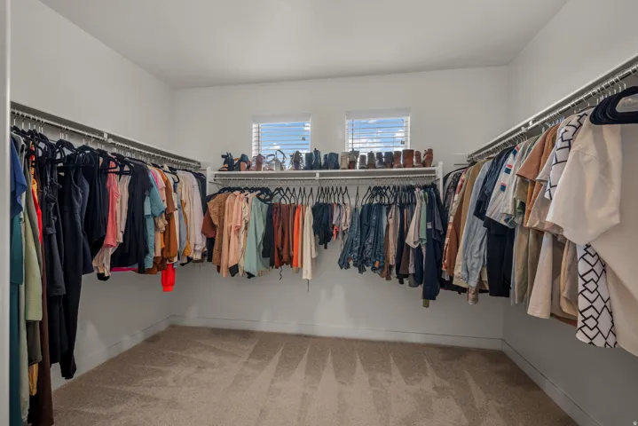Walk-in closet with carpet flooring, white walls, and built-in clothes rods