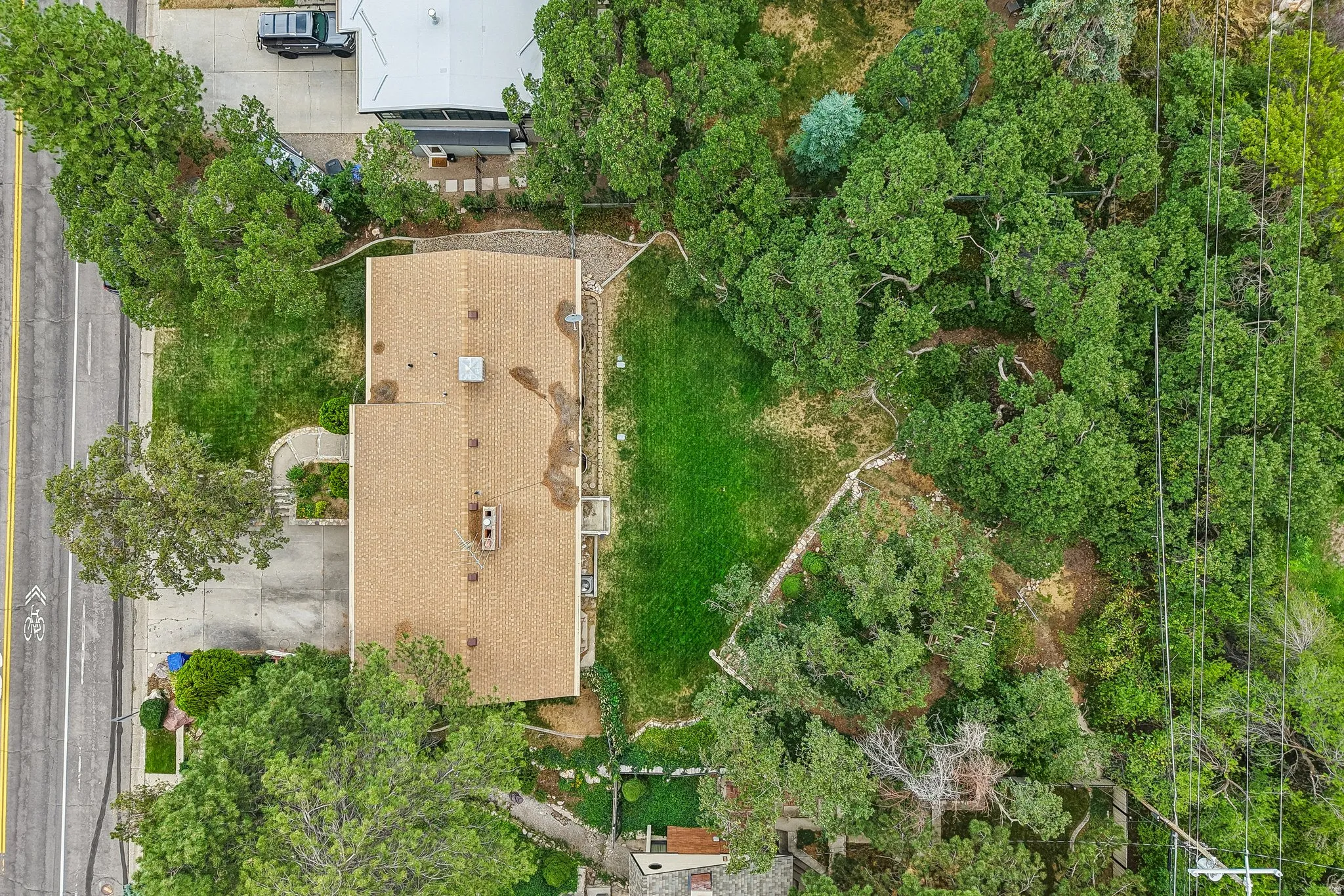 Expansive property featuring a gabled roofline, mature trees, and a paved driveway