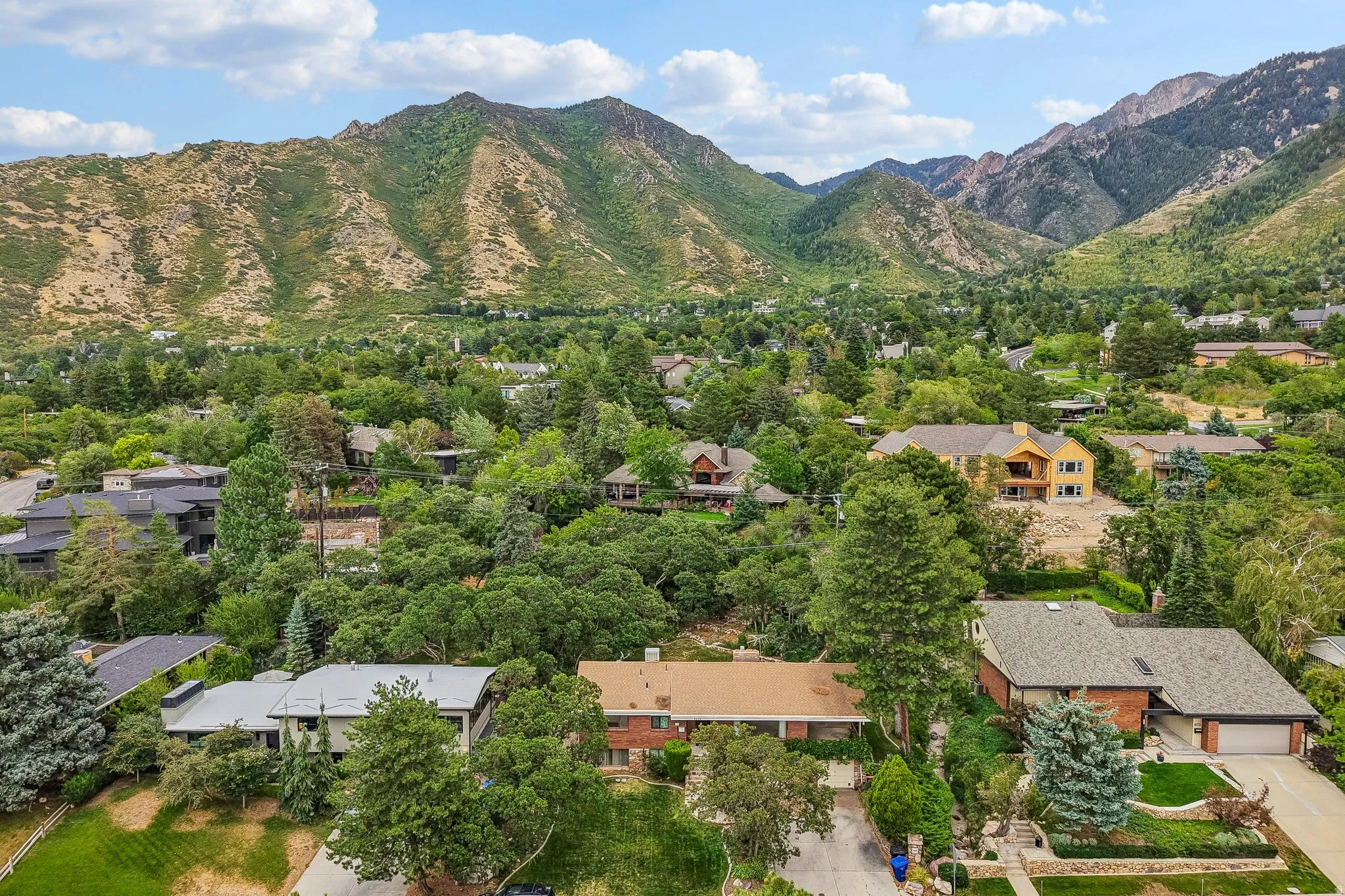 Lush green landscape featuring mature trees and a tranquil residential setting
