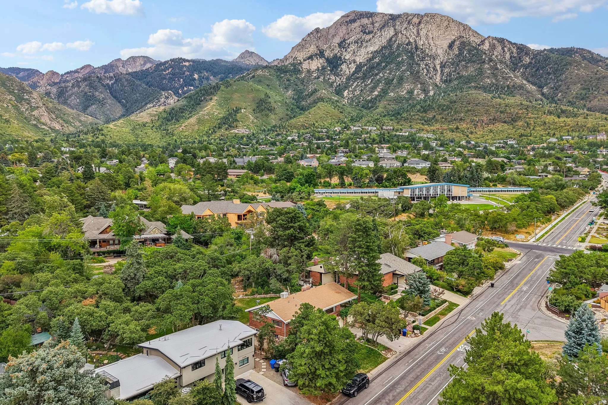 Aerial perspective of a verdant neighborhood with varied architectural styles, featuring mature trees and established landscaping