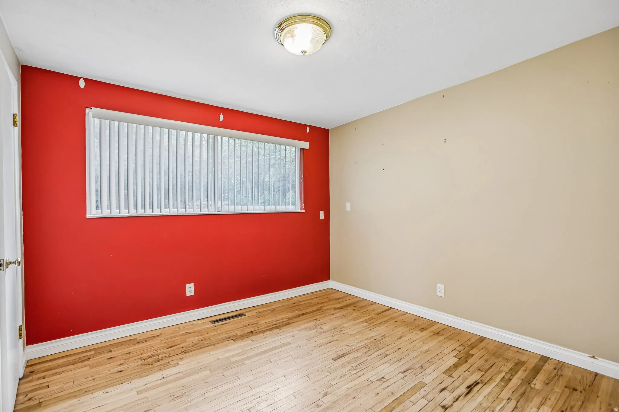 Wood-finish flooring with white trim and a ceiling-mounted light fixture