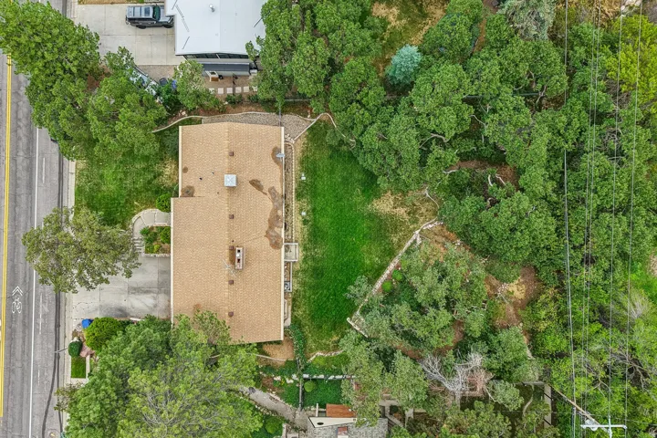 Expansive property featuring a gabled roofline, mature trees, and a paved driveway