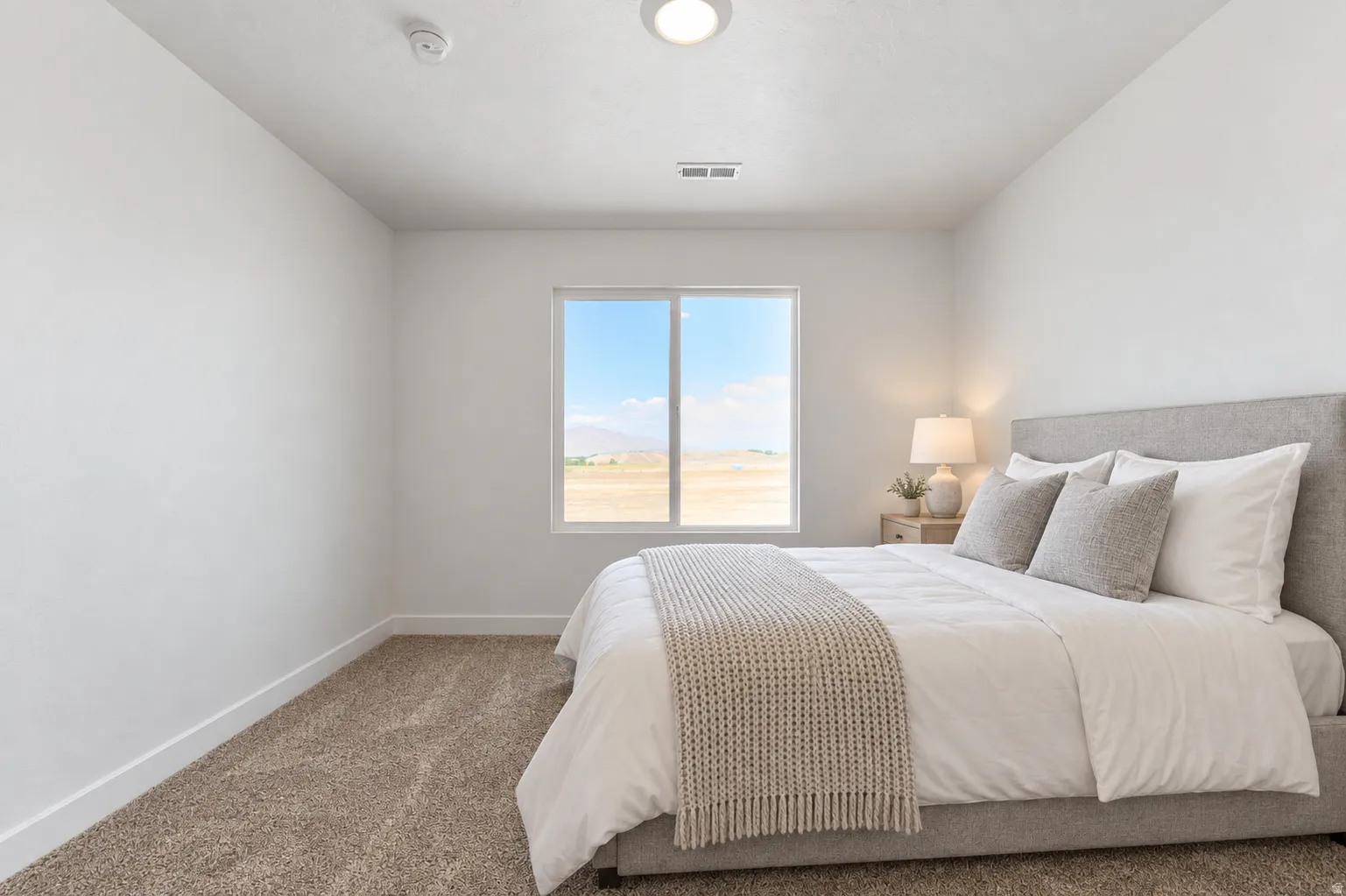 Recessed overhead lighting, textured carpeting, and a window with expansive distant scenery