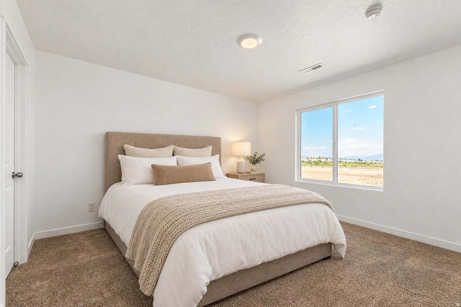 Light-filled room featuring a broad window, white walls, and carpet flooring