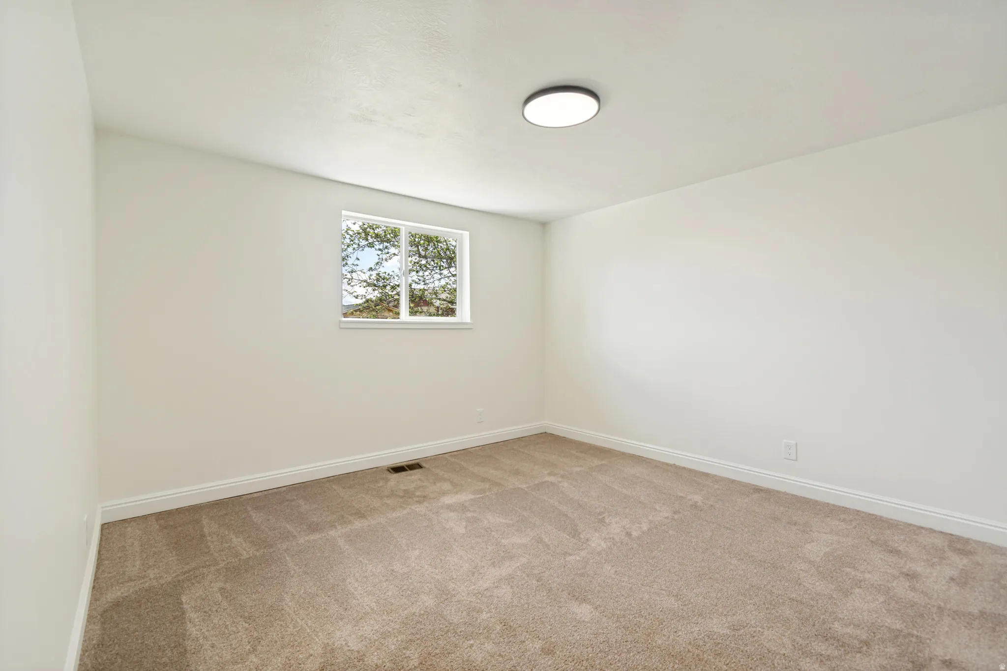 Neutral wall paint, carpeted flooring, window with white trim, and a ceiling-mounted light fixture