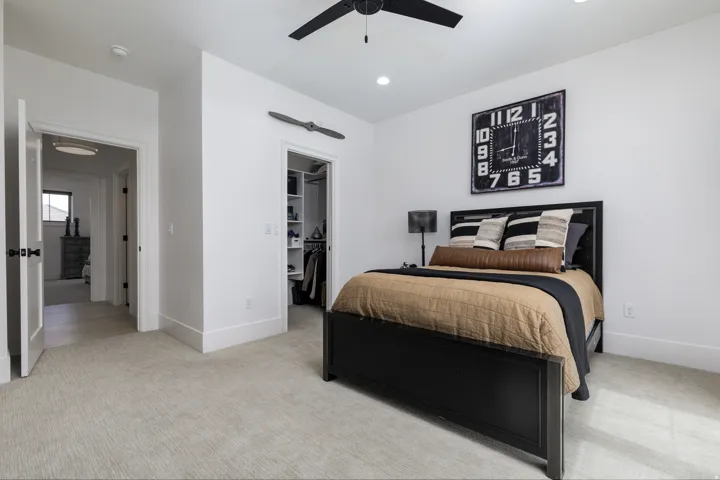 Plush carpet flooring, recessed lighting, ceiling fan, white paneled doors with black hardware, and an organized walk-in closet with built-in shelving