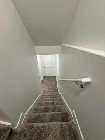 Carpeted staircase with white trim, a white wall-mounted handrail, and light gray wall paint