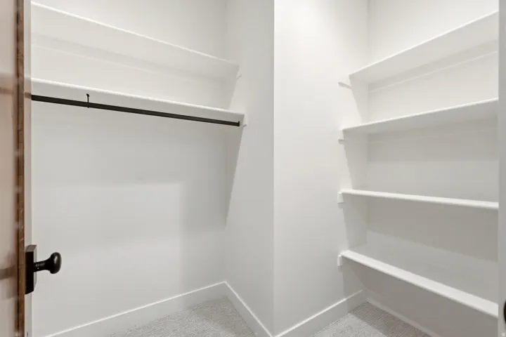 Walk-in closet featuring a metal hanging rod, integrated shelving, and carpet flooring