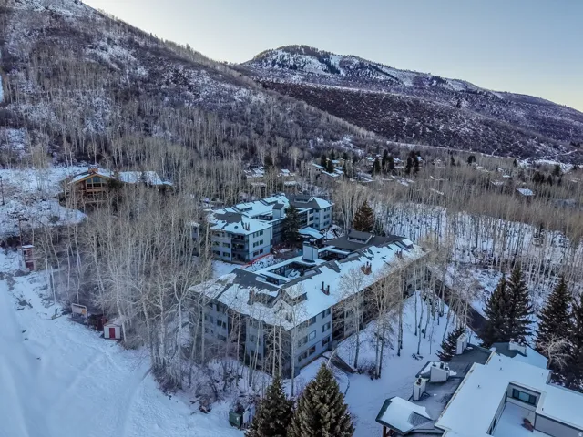 Multi-level residential structures surrounded by an alpine forest and snow-covered terrain