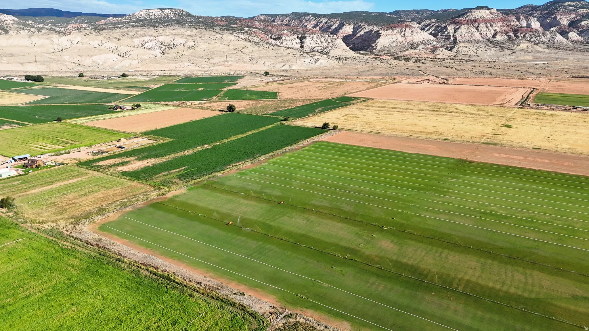 Expansive agricultural acreage featuring multiple cultivated fields with verdant crop rows, bordered by irrigation channels and rural infrastructure