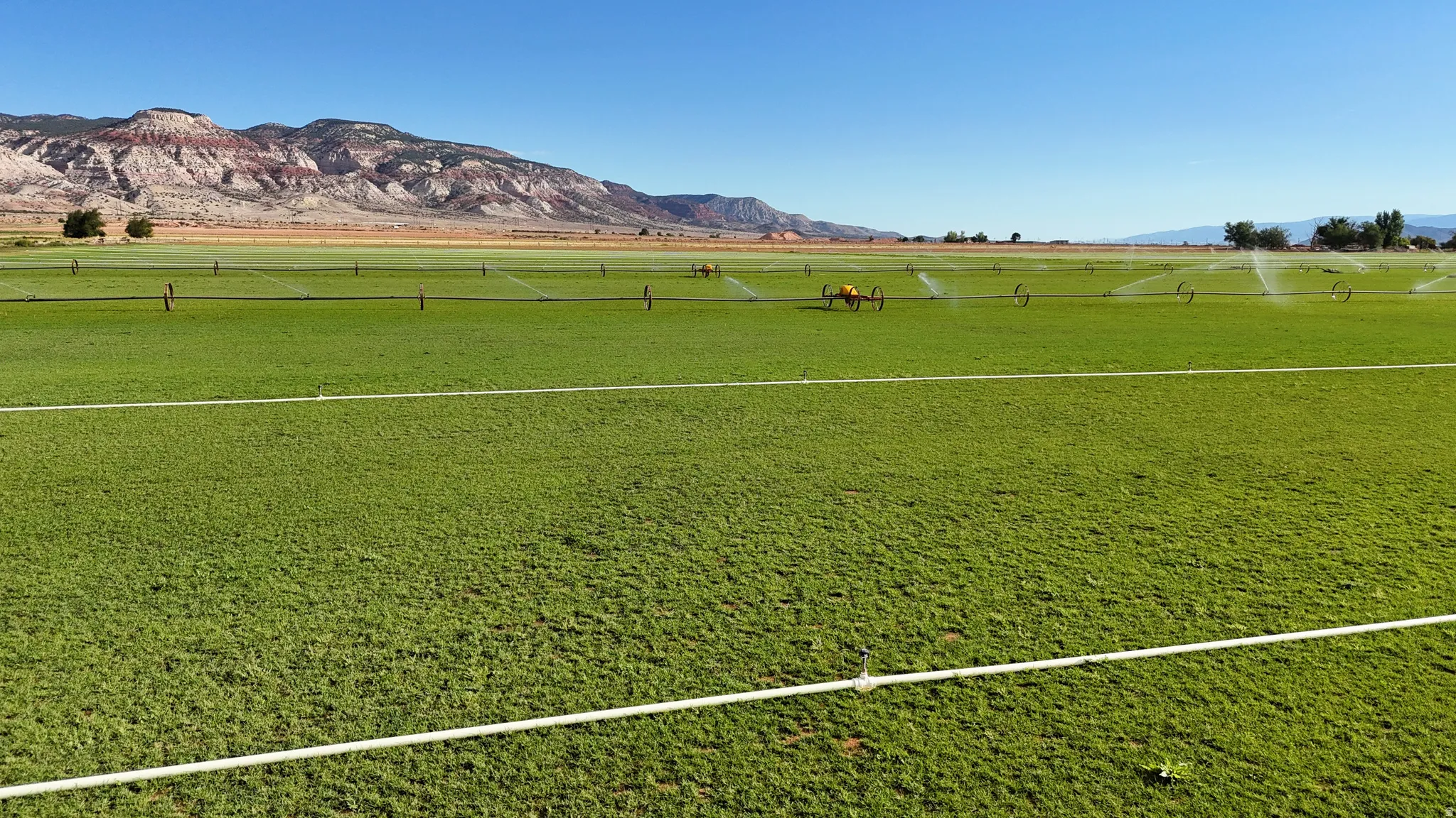 Expansive green field with active irrigation system, bordered by distant mountains