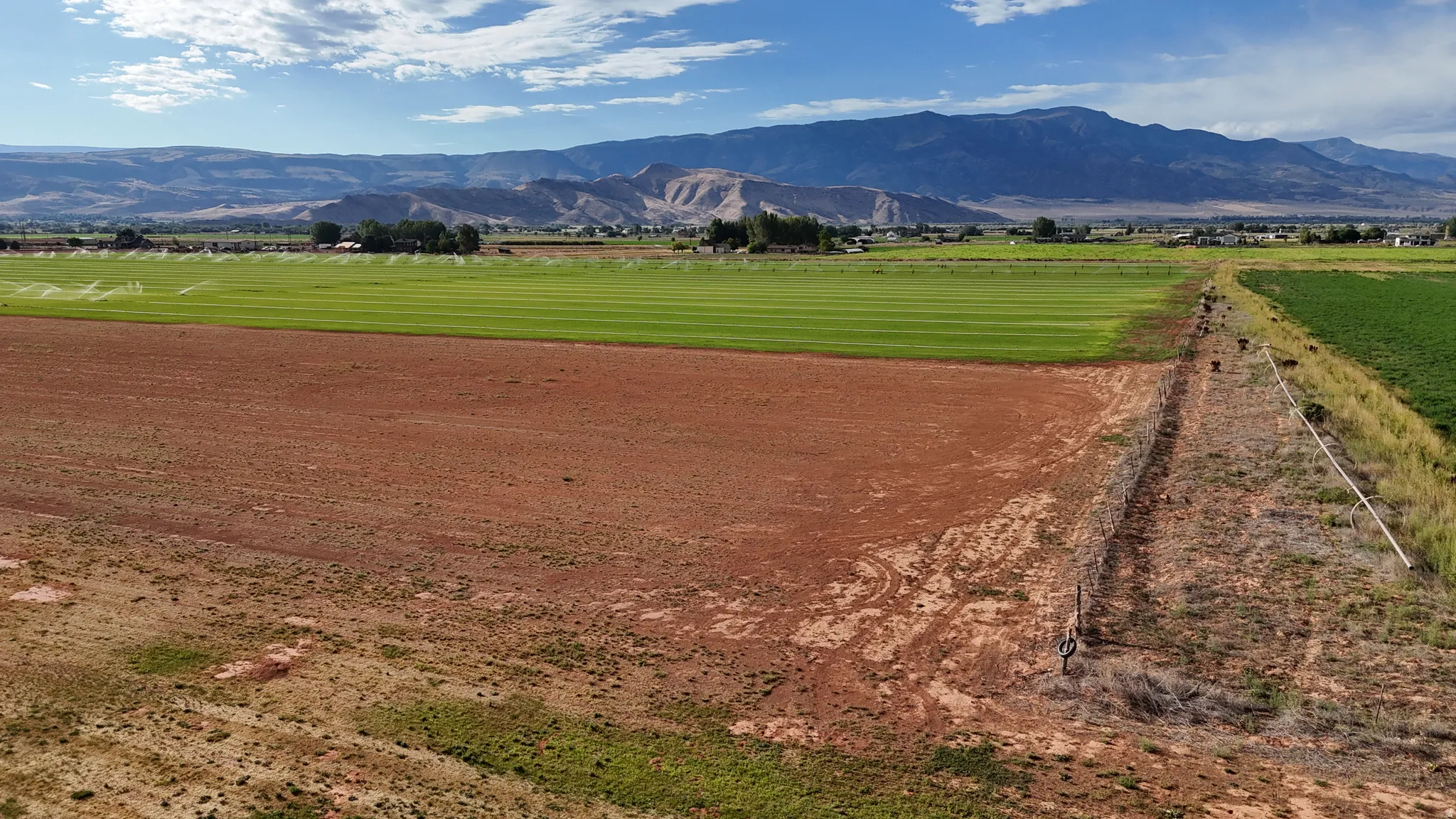 Expansive agricultural land featuring cultivated fields, a distinct property line, and distant mountain scenery