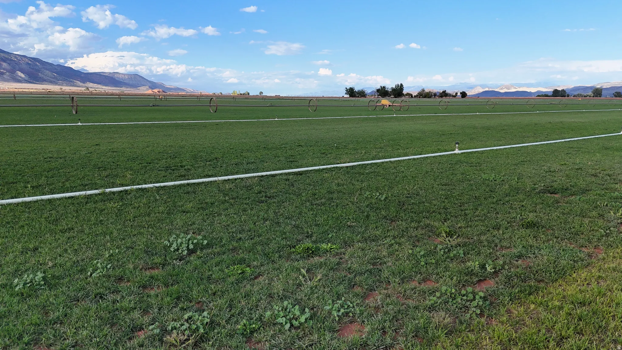 Expansive green acreage with visible irrigation lines, bordered by distant mountains