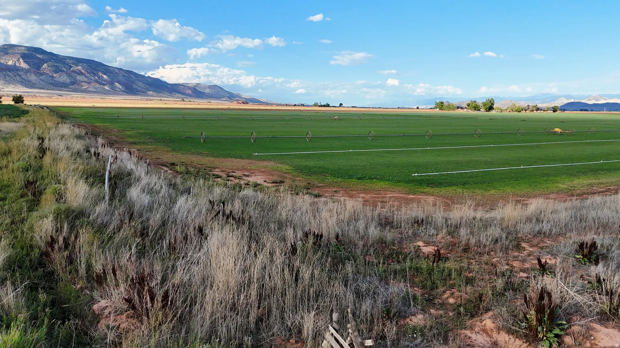 Expansive irrigated fields with mountain backdrop
