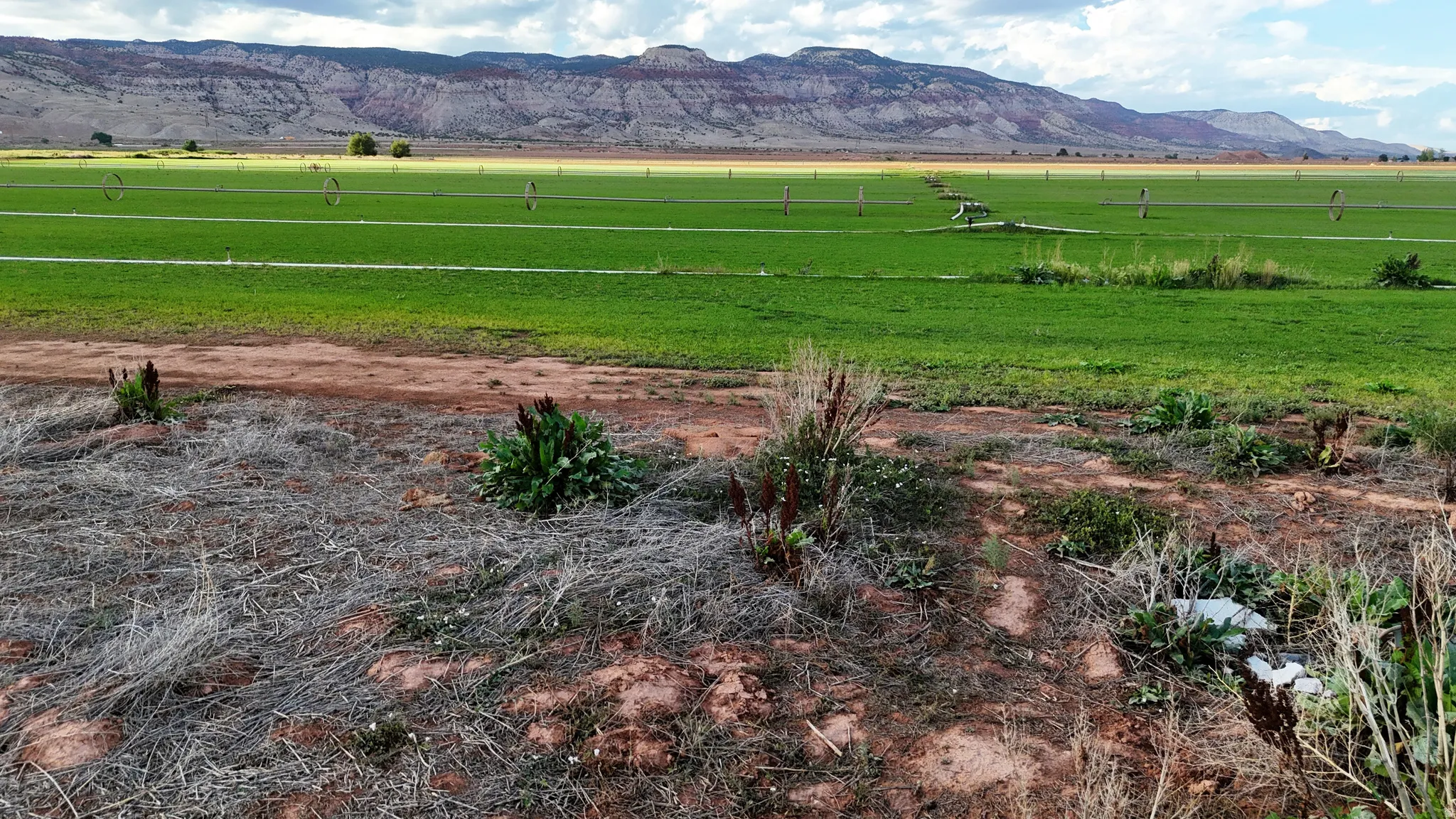 Expansive green fields with irrigation systems, framed by distant mountains under a partly cloudy sky