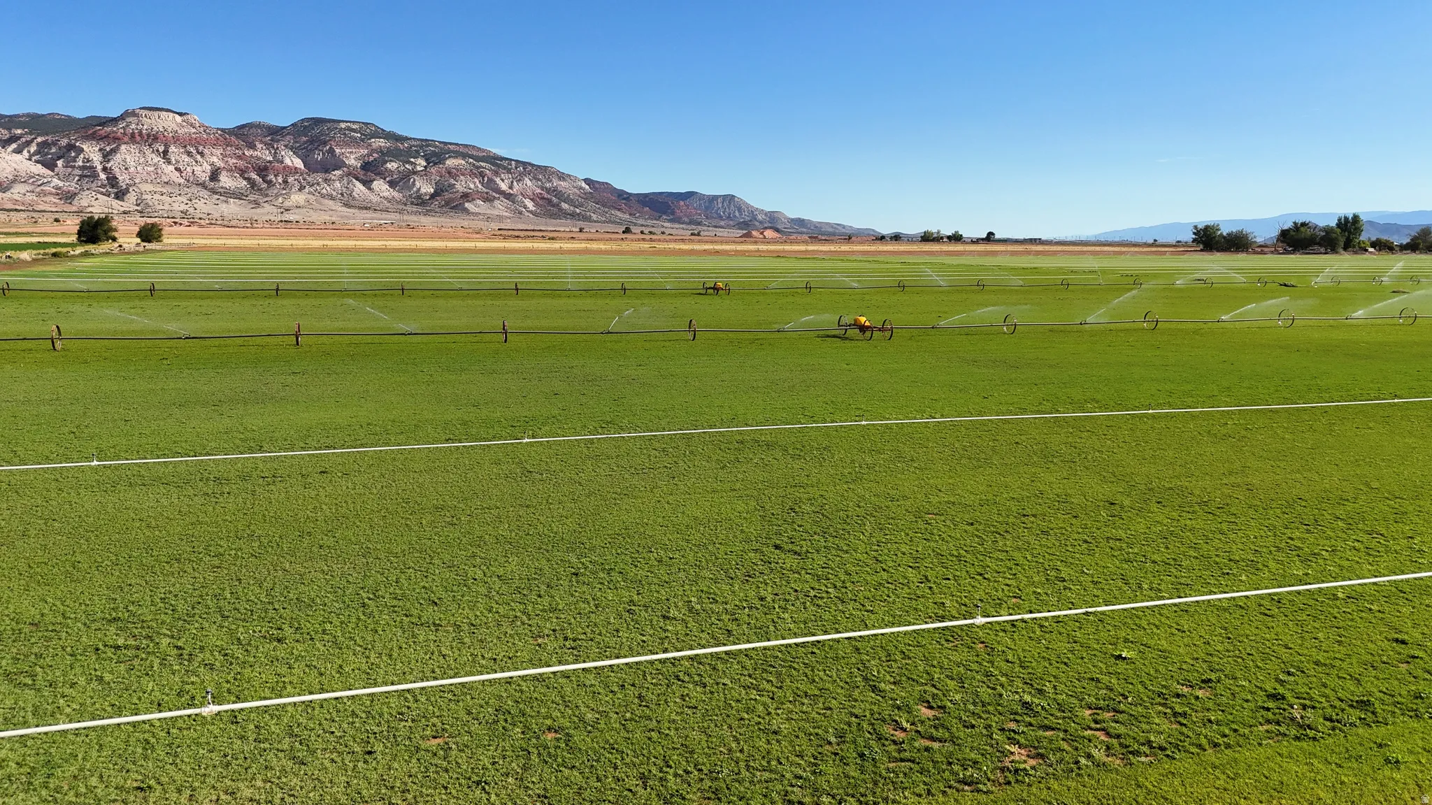 Expansive irrigated land featuring green fields and distant mountains