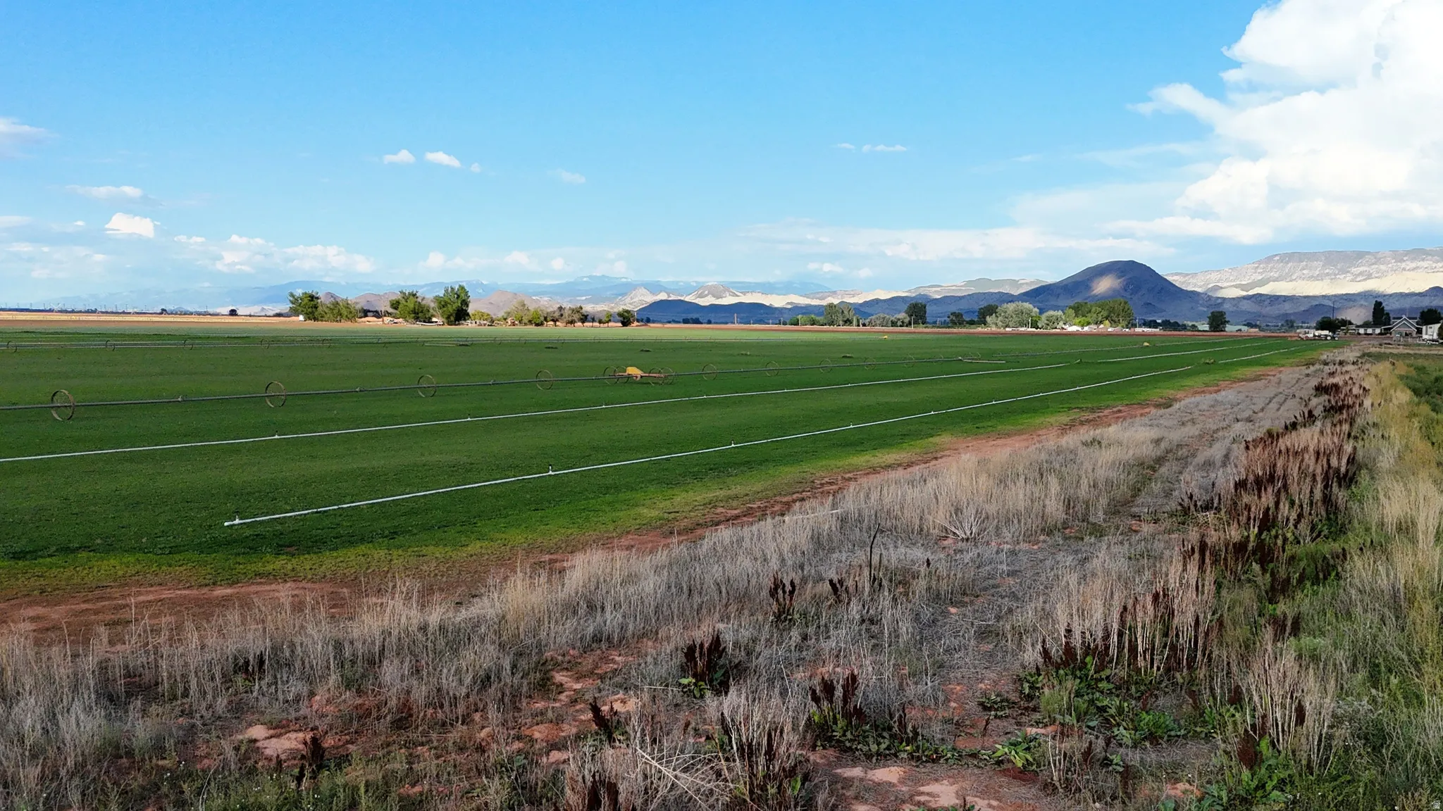 Expansive agricultural acreage featuring lush irrigated cropland with organized field divisions, native vegetation buffer along the perimeter, and distant mountain backdrop under clear skies