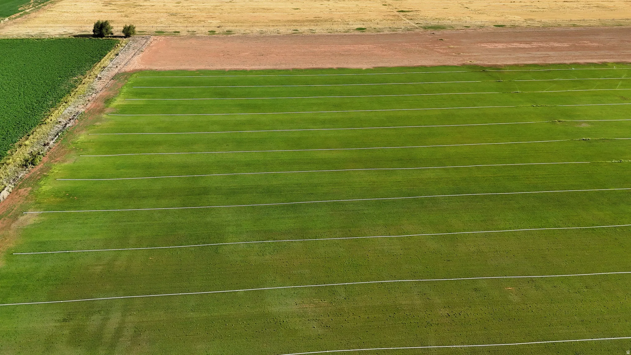 Expansive agricultural land featuring a verdant crop field, adjacent tilled earth, and distinct irrigation lines