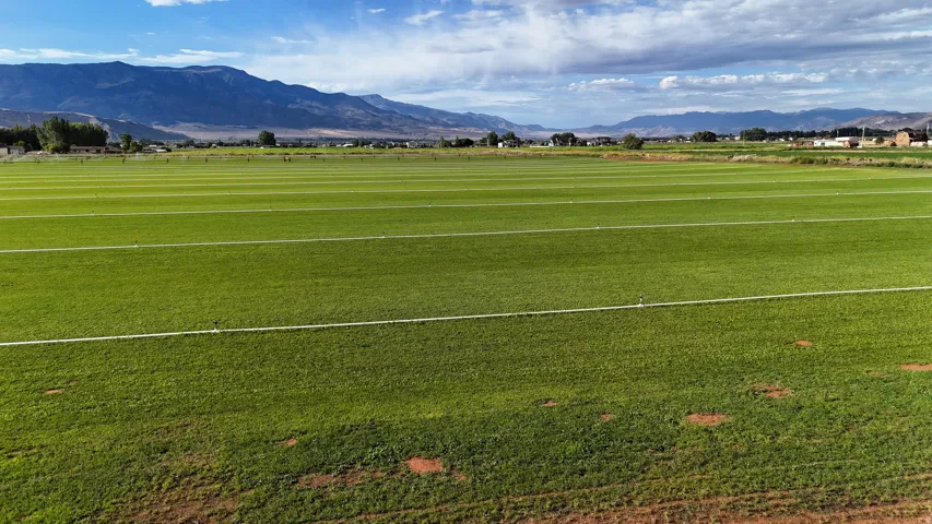 Expansive green field with visible irrigation lines, set against a backdrop of distant mountains under a partly cloudy sky
