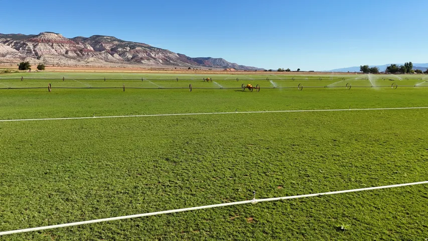 Expansive green field with active irrigation system, bordered by distant mountains