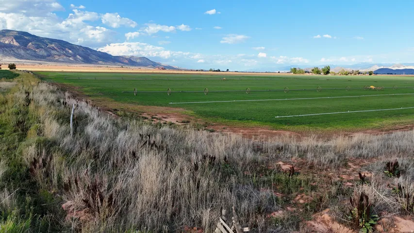 Expansive irrigated fields with mountain backdrop