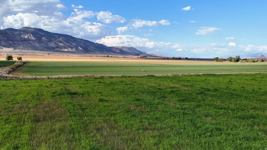 Expansive green fields with distant mountains under a blue sky with scattered clouds