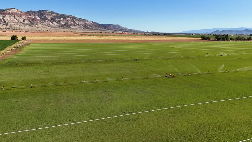 Expansive agricultural field with a linear irrigation system and distant mountain ranges