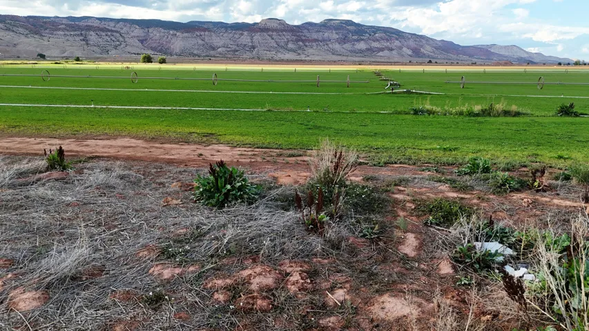 Expansive green fields with irrigation systems, framed by distant mountains under a partly cloudy sky