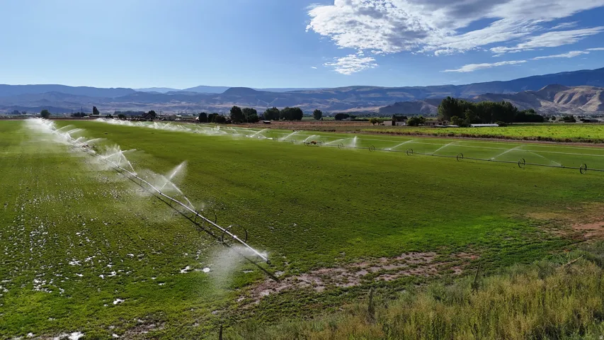 Expansive green field featuring an active irrigation system and distant mountain scenery