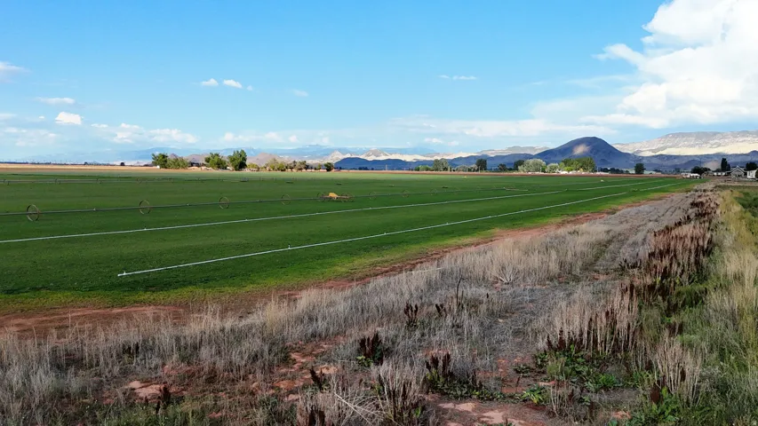 Expansive agricultural acreage featuring lush irrigated cropland with organized field divisions, native vegetation buffer along the perimeter, and distant mountain backdrop under clear skies