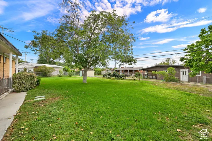 Expansive green lawn with a mature shade tree, concrete pathway, and surrounding fencing