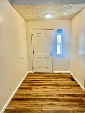 Wood-finish flooring, white paneled entry door, flush-mount lighting, and natural light from the sidelight window