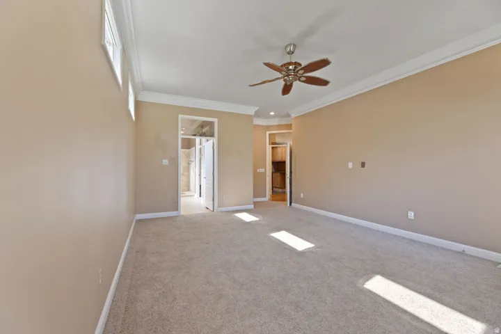 Spacious room featuring neutral carpet flooring, a ceiling fan with light, crown molding, and high transom windows