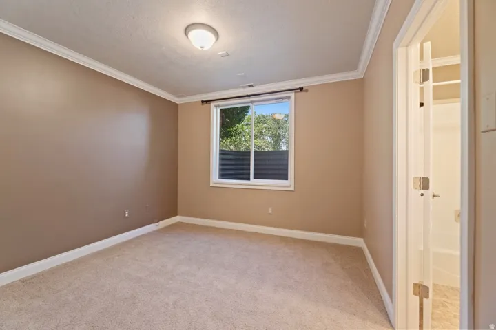 Carpeted room with crown molding, a flush-mount ceiling light, and a window featuring horizontal blinds