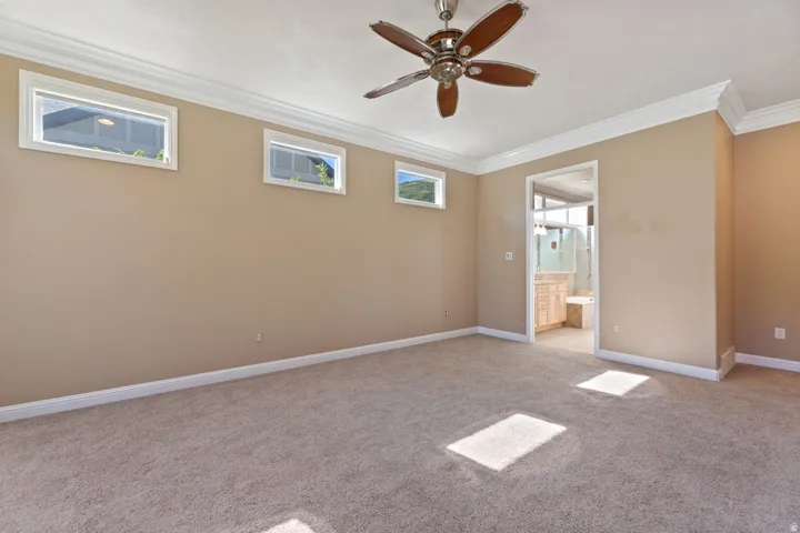 Carpeted room featuring crown molding, a ceiling fan, and multiple transom windows
